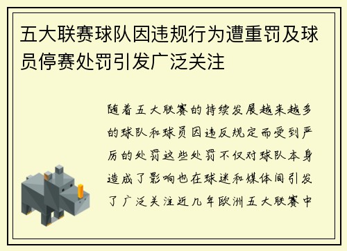 五大联赛球队因违规行为遭重罚及球员停赛处罚引发广泛关注