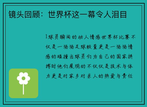 镜头回顾：世界杯这一幕令人泪目